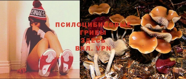 героин Беломорск