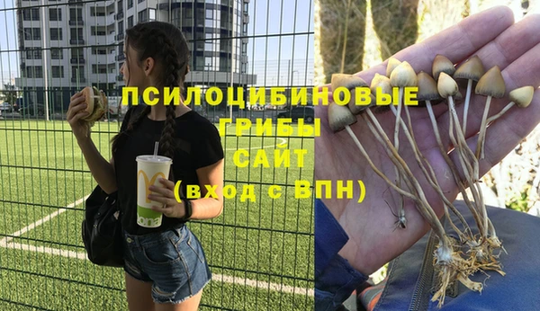 хмурый Белоозёрский