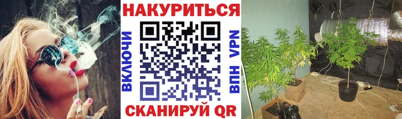 Бошки марихуана SATIVA & INDICA  Владивосток 